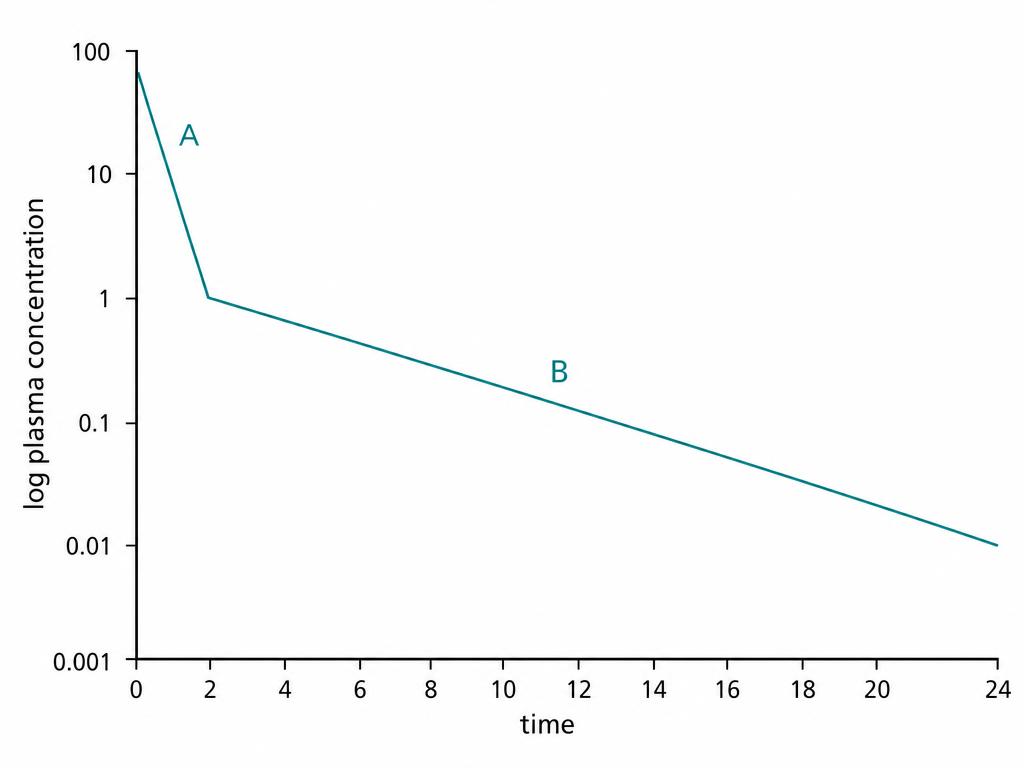 Semi-logarithmic graph of plasma concentration against time with a steep initial line labelled A and a shallower terminal line labelled B